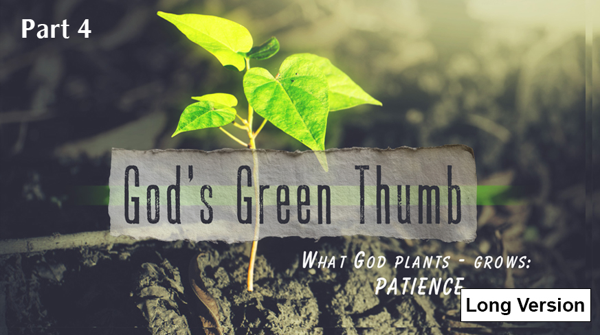 God’s Green Thumb What God Grows – Shows: Patience (Part 4)