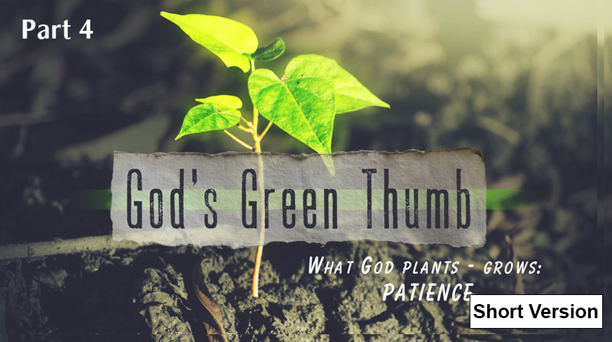 God’s Green Thumb What God Grows – Shows: Patience (Part 4)